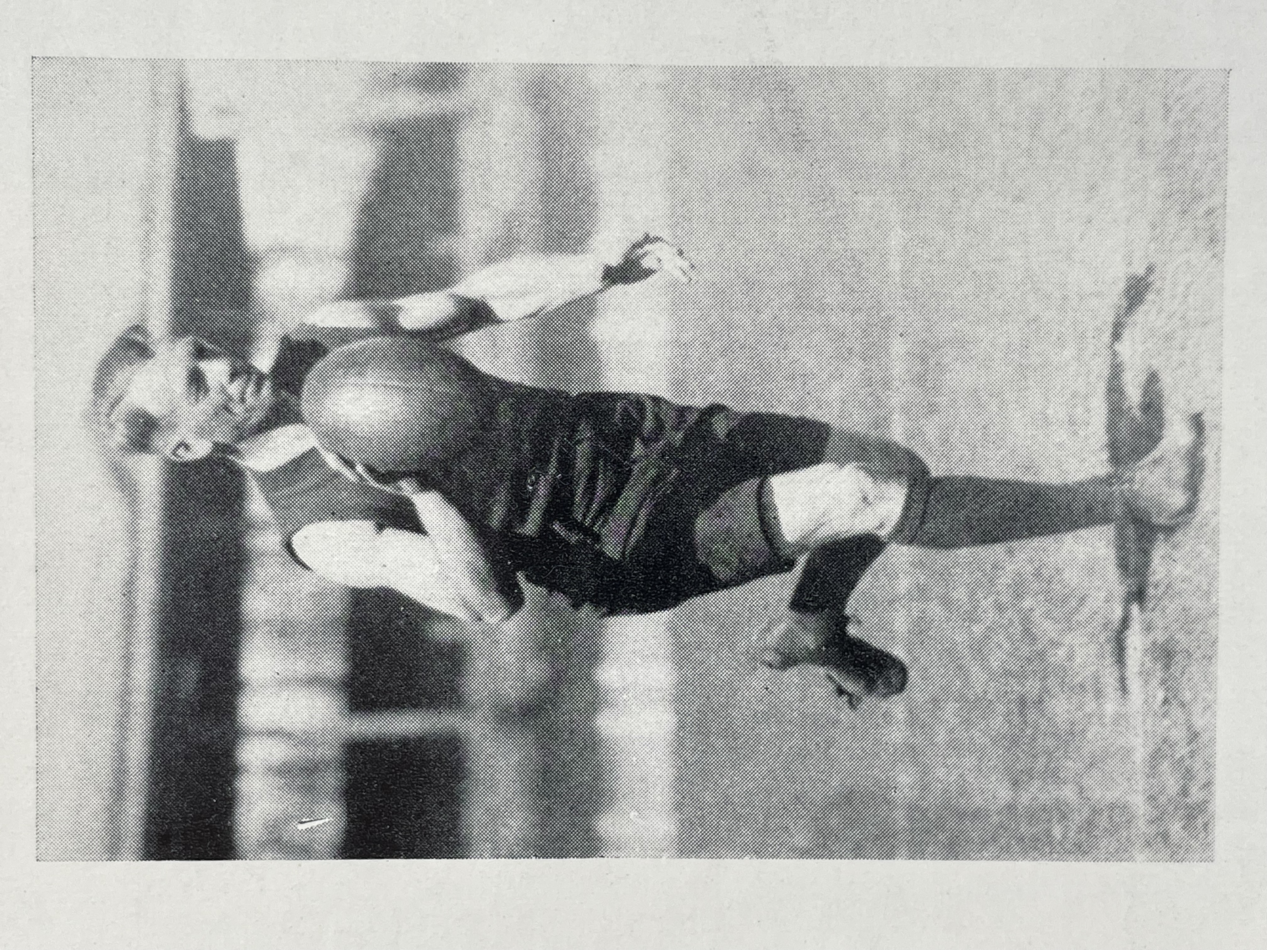 Ivor Warne-Smith